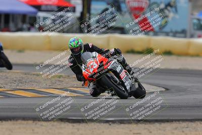 media/Jan-15-2023-SoCal Trackdays (Sun) [[c1237a034a]]/Turn 2 Set 1 (1145am)/